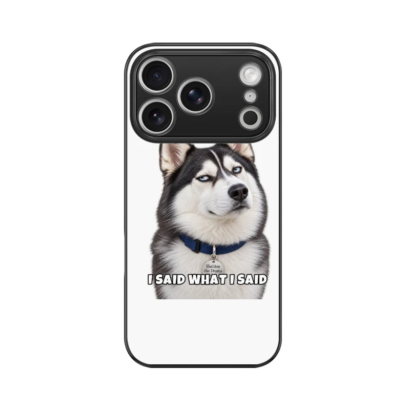 Sheldon Phone Case - I Said What I Said - Apple iPhone 17 Pro