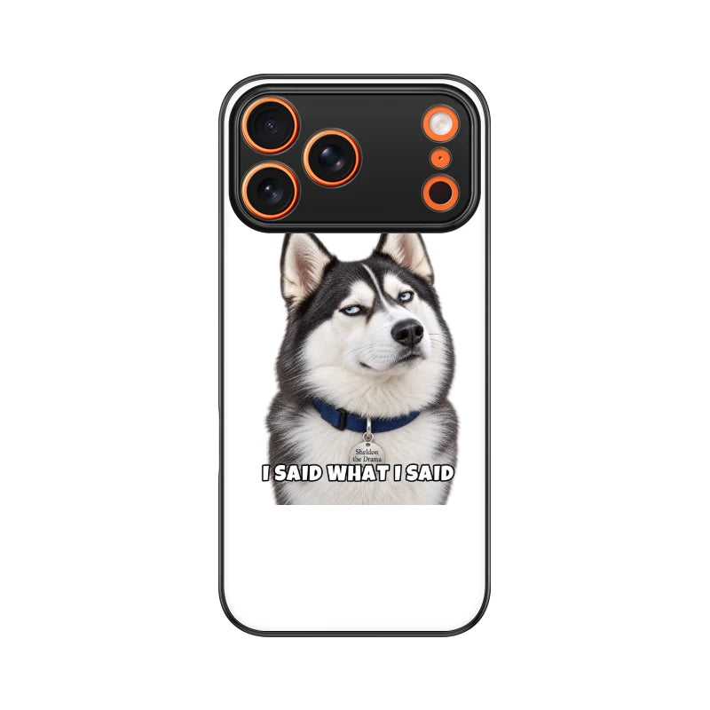 Sheldon Phone Case - I Said What I Said - Apple iPhone 17 Pro Max