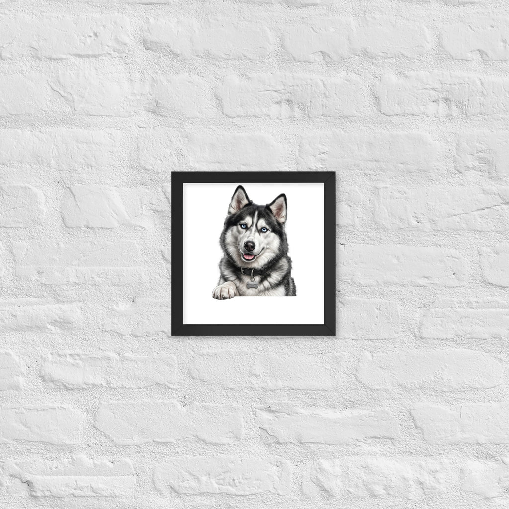 Sheldon the husky wearing a crown, Drama King framed poster in black frame, 10x10, front view