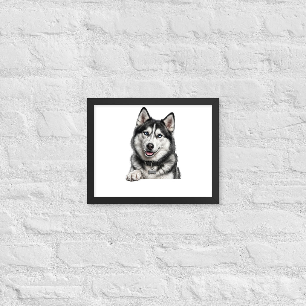 Sheldon the husky wearing a crown, Drama King framed poster in black frame, 11x14, front view