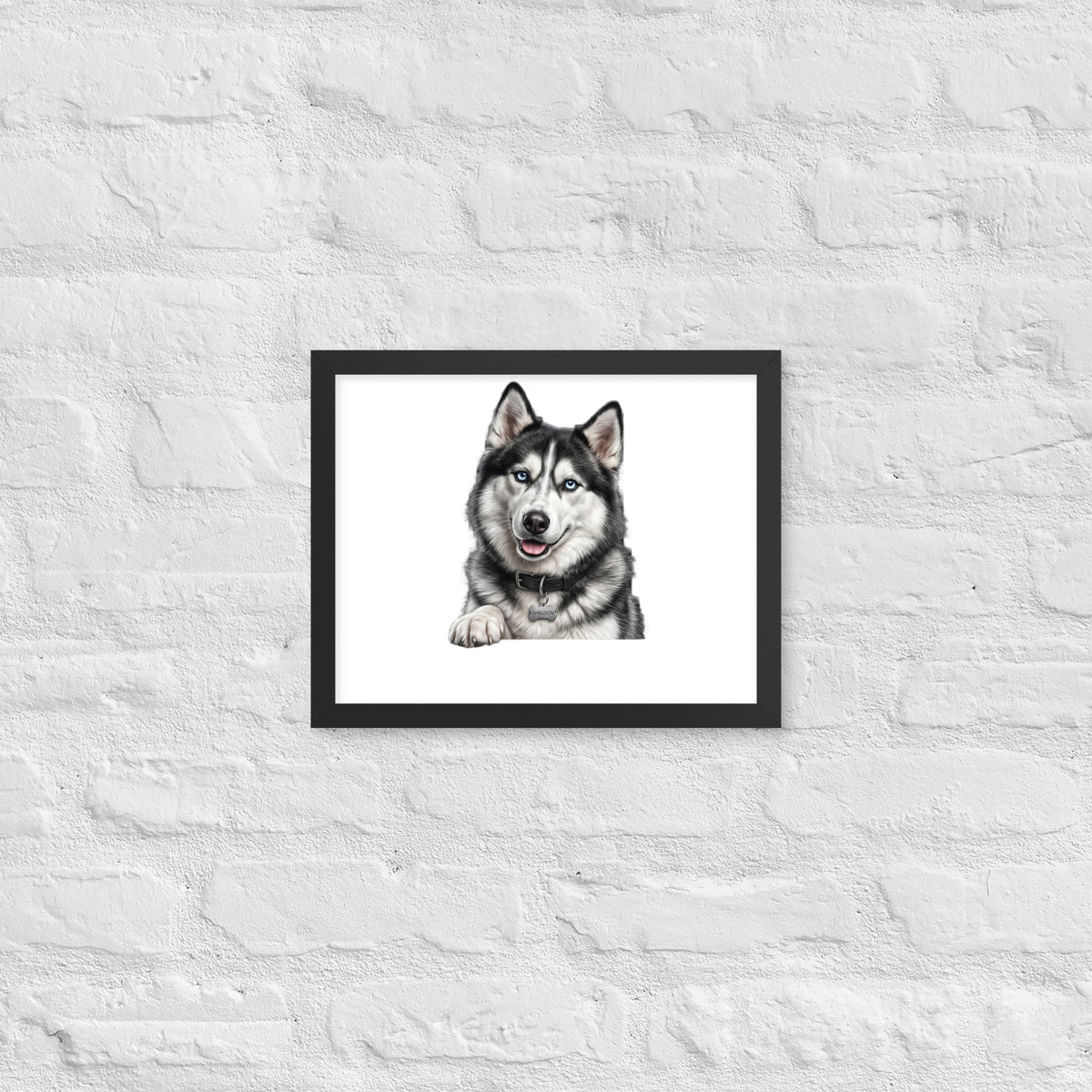 Sheldon the husky wearing a crown, Drama King framed poster in black frame, 11x14, front view