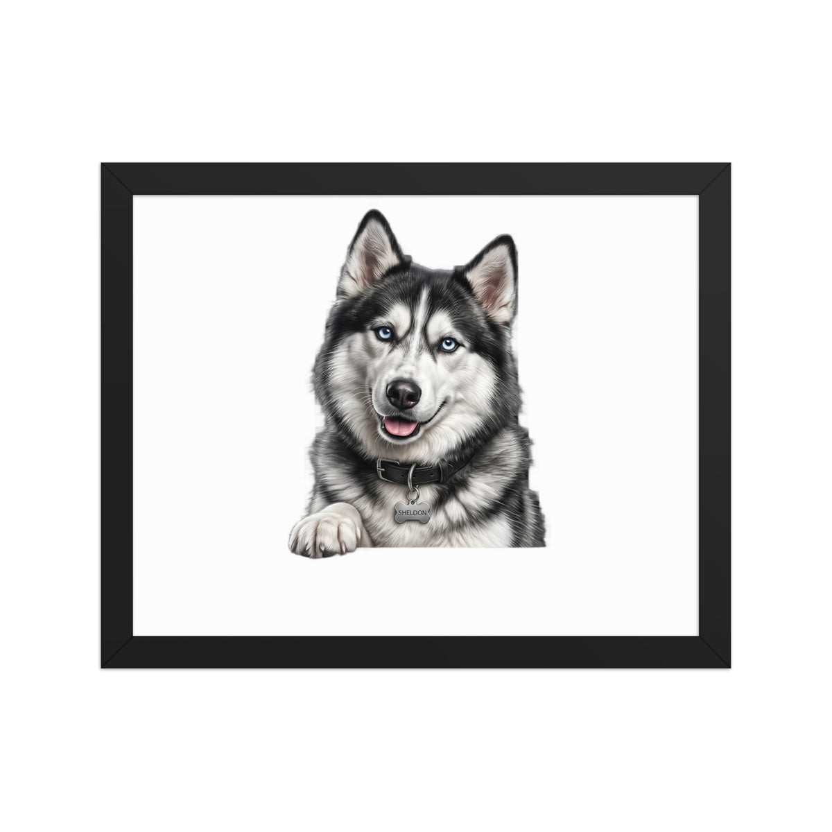 Sheldon the husky wearing a crown, Drama King framed poster in black frame, 11x14, front view