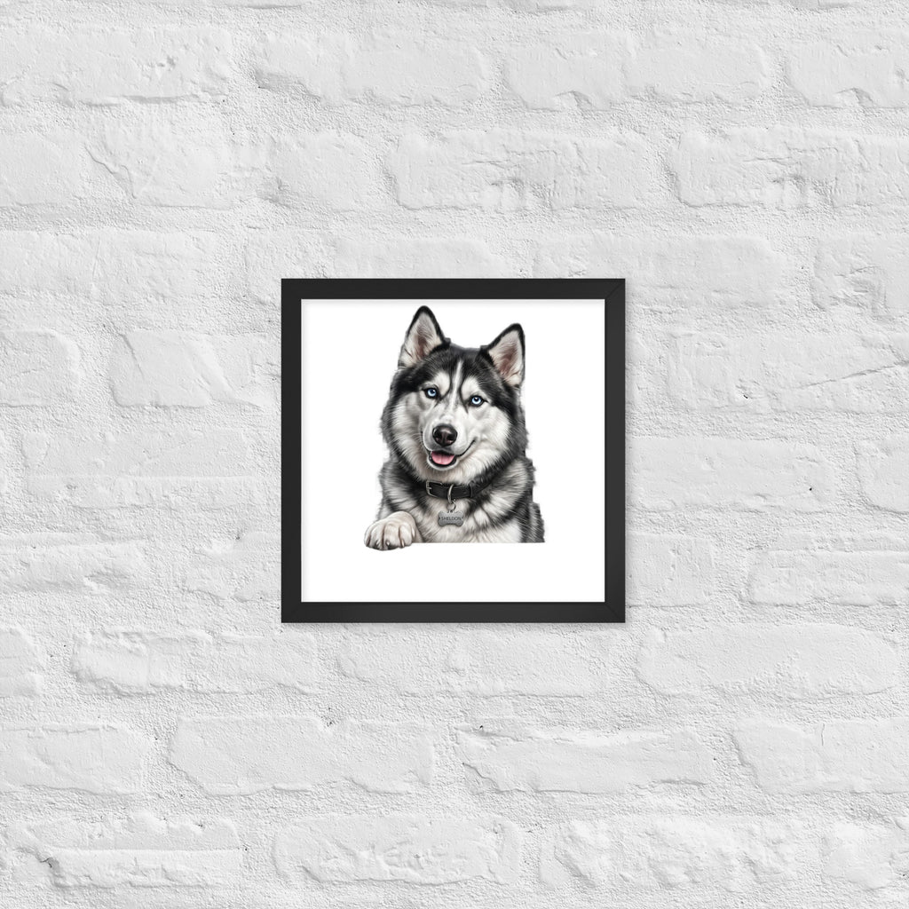 Sheldon the husky wearing a crown, Drama King framed poster in black frame, 12x12, front view