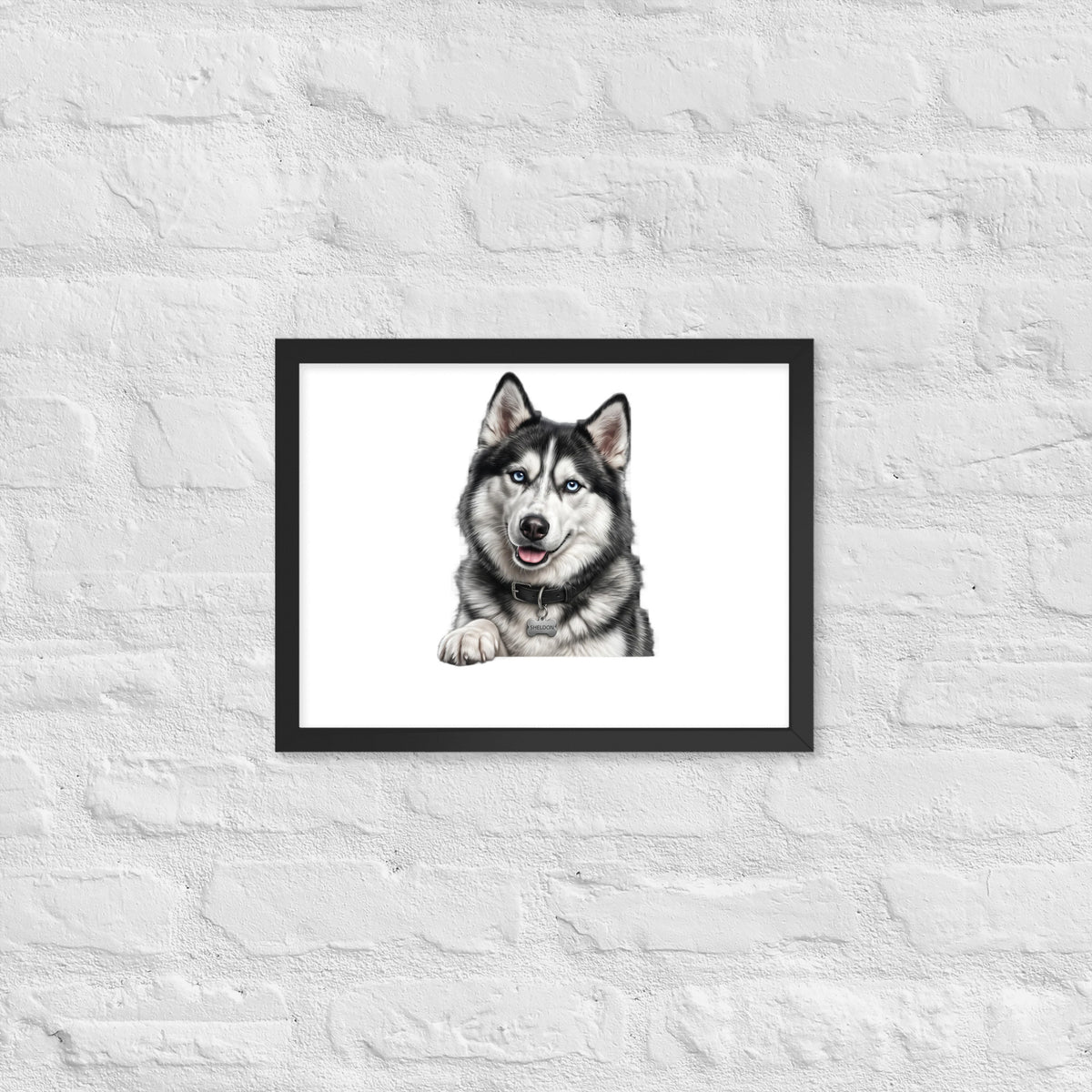 Sheldon the husky wearing a crown, Drama King framed poster in black frame, 12x16, front view