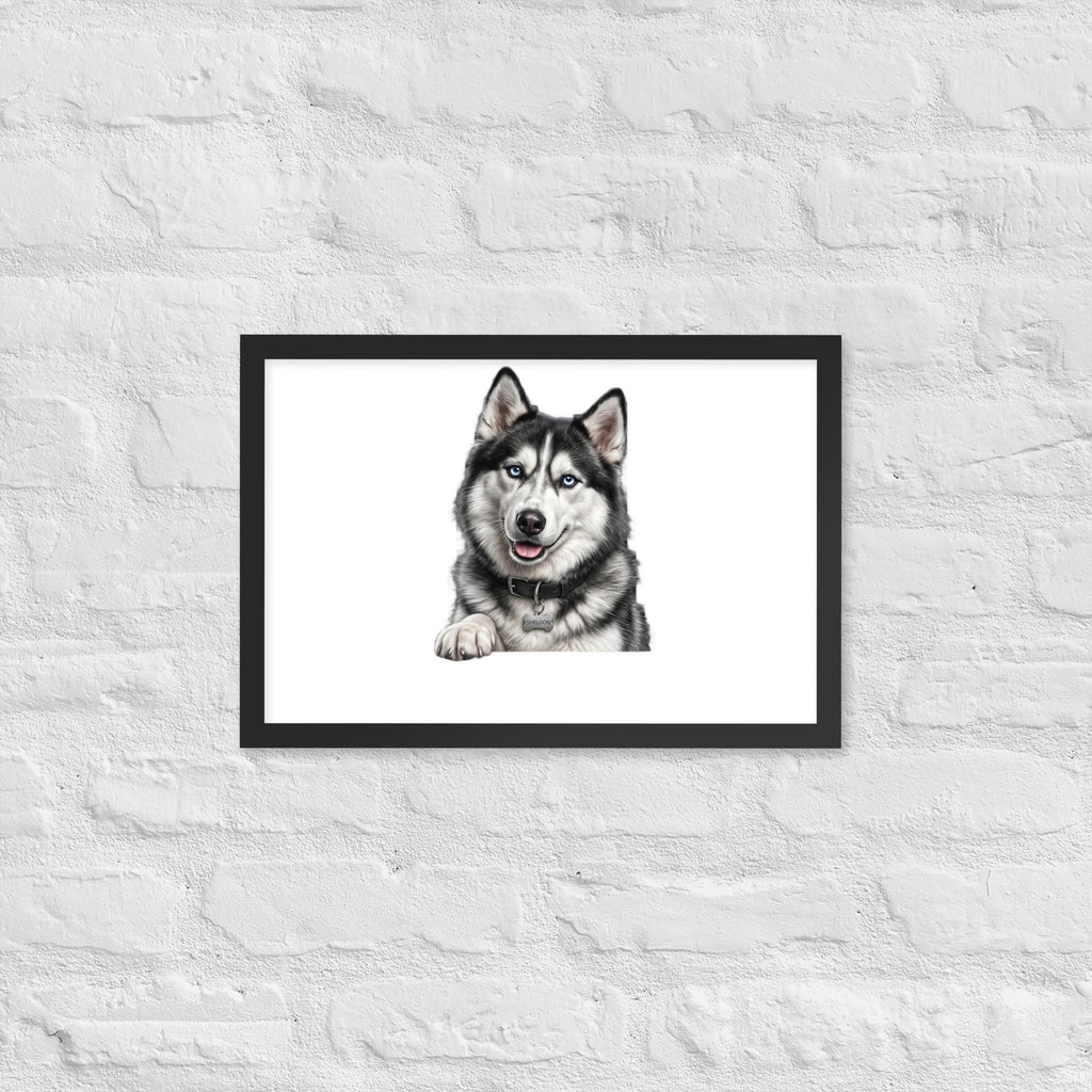 Sheldon the husky wearing a crown, Drama King framed poster in black frame, 12x18, front view