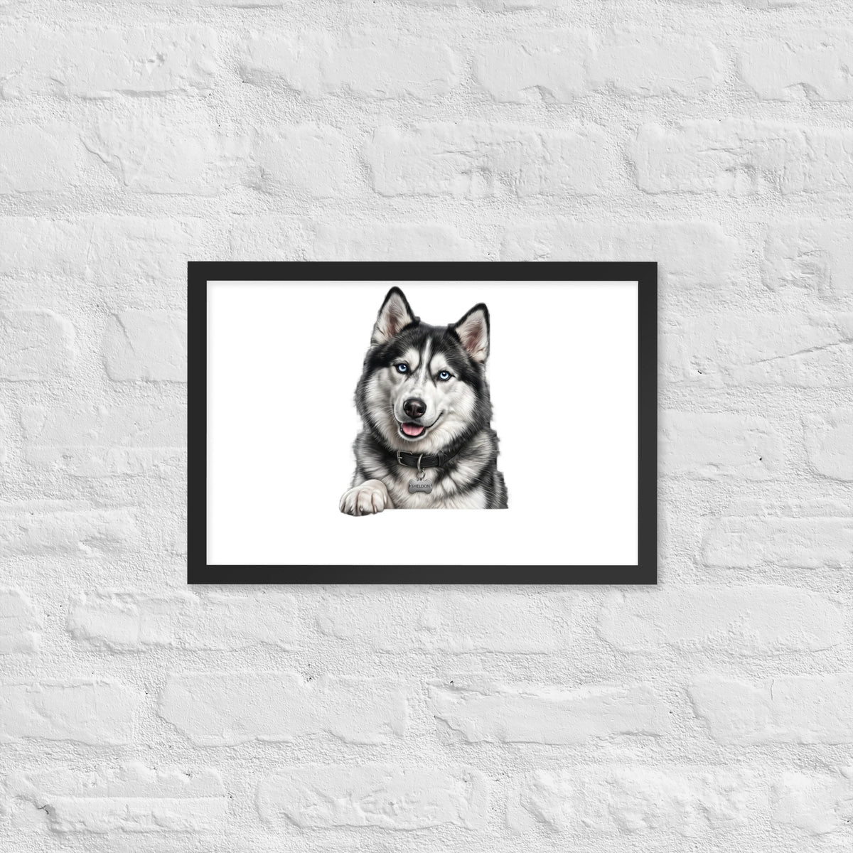 Sheldon the husky wearing a crown, Drama King framed poster in black frame, 12x18, front view