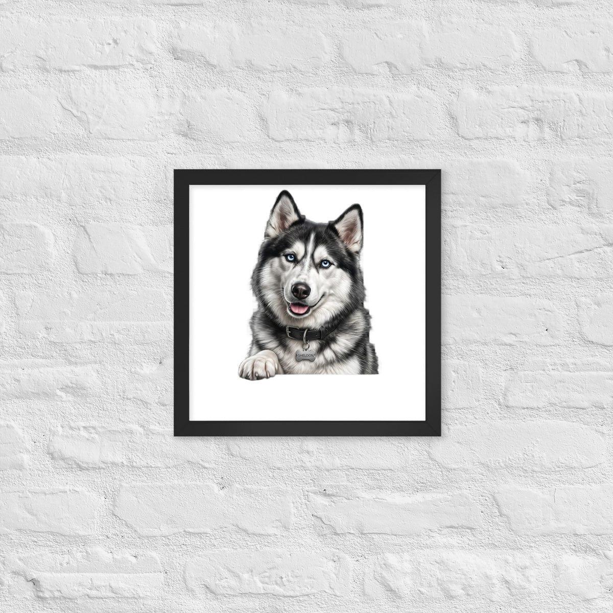 Sheldon the husky wearing a crown, Drama King framed poster in black frame, 14x14, front view