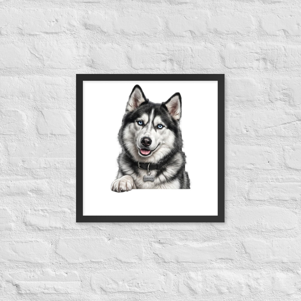 Sheldon the husky wearing a crown, Drama King framed poster in black frame, 16x16, front view