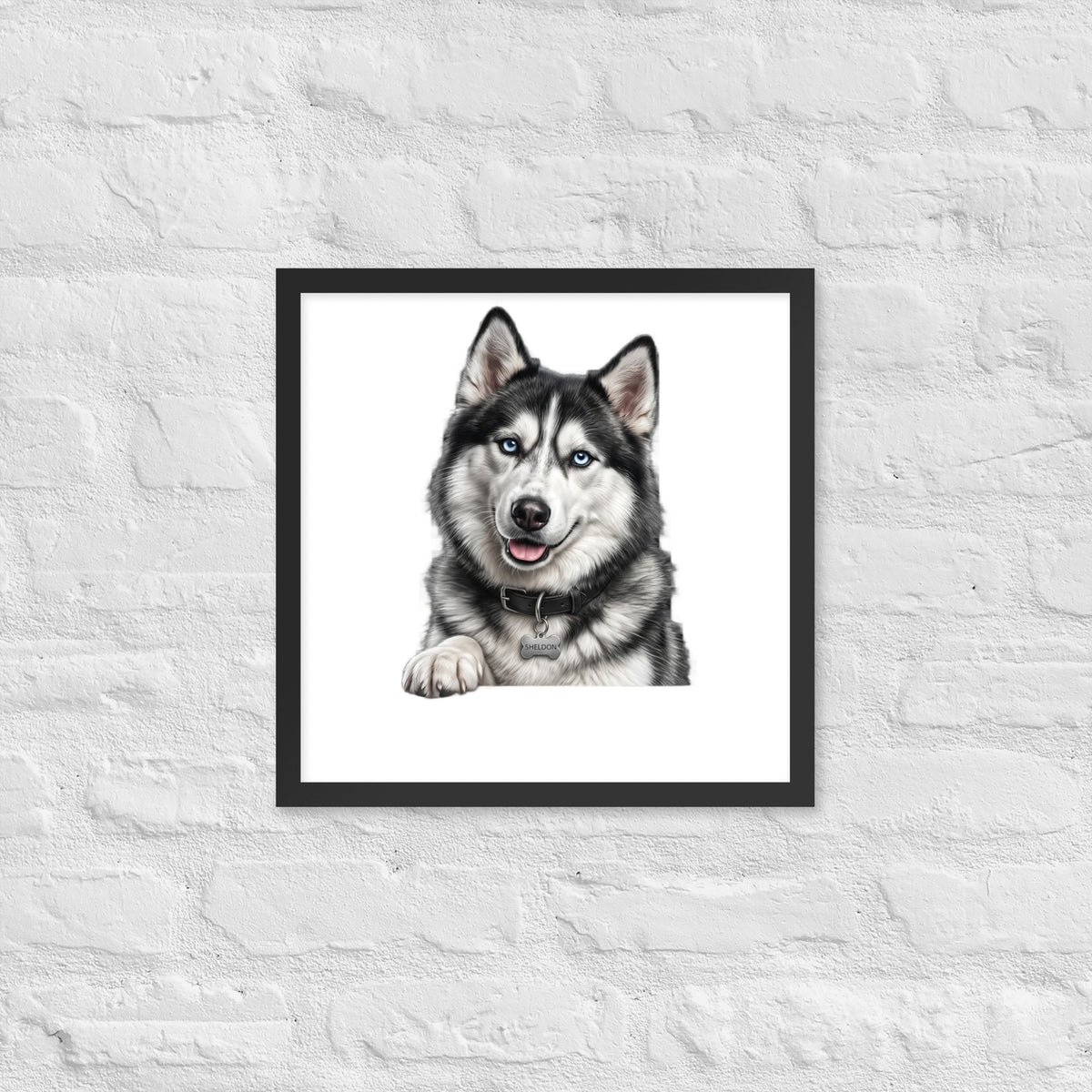 Sheldon the husky wearing a crown, Drama King framed poster in black frame, 16x16, front view