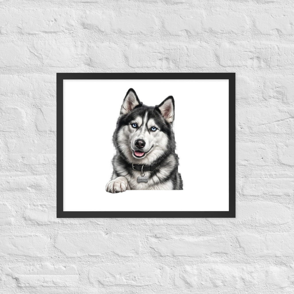 Sheldon the husky wearing a crown, Drama King framed poster in black frame, 16x20, front view