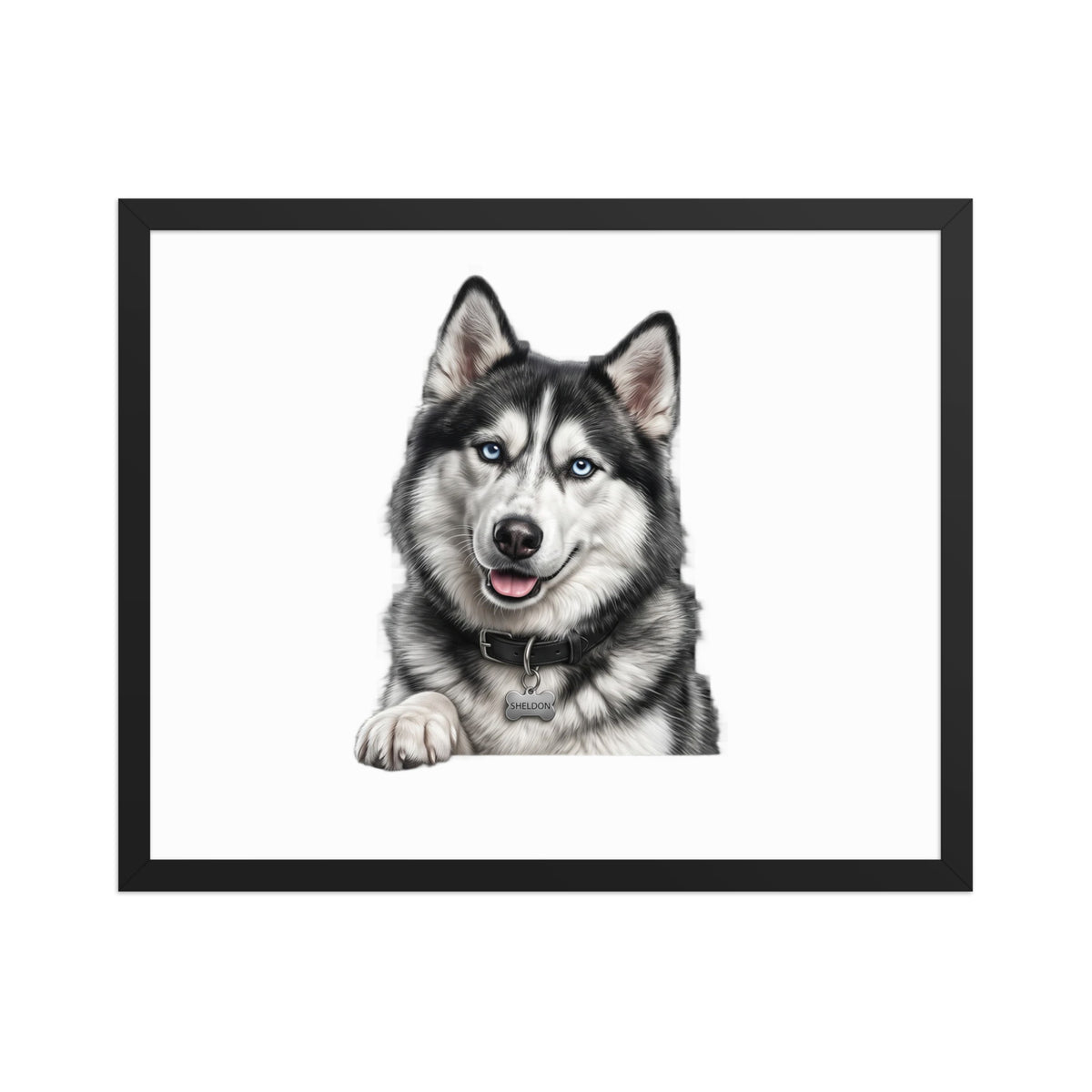Sheldon the husky wearing a crown, Drama King framed poster in black frame, 16x20, front view