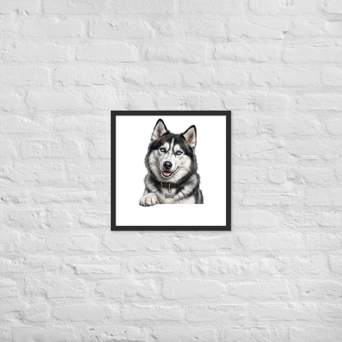 Sheldon the husky wearing a crown, Drama King framed poster in black frame, 18x18, front view