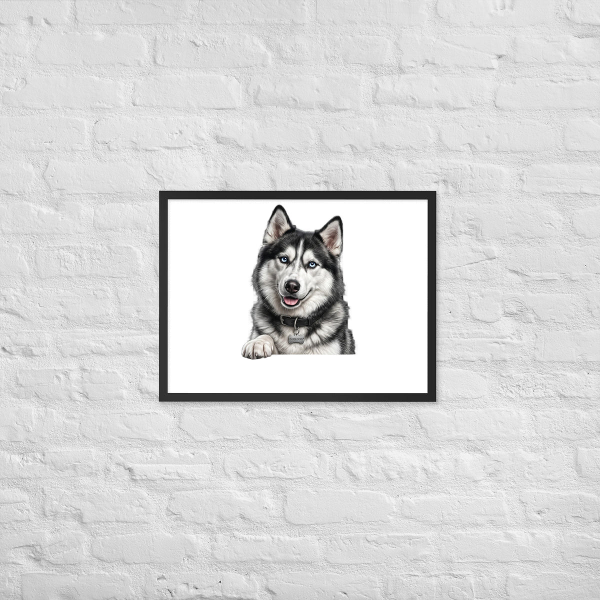 Sheldon the husky wearing a crown, Drama King framed poster in black frame, 18x24, front view