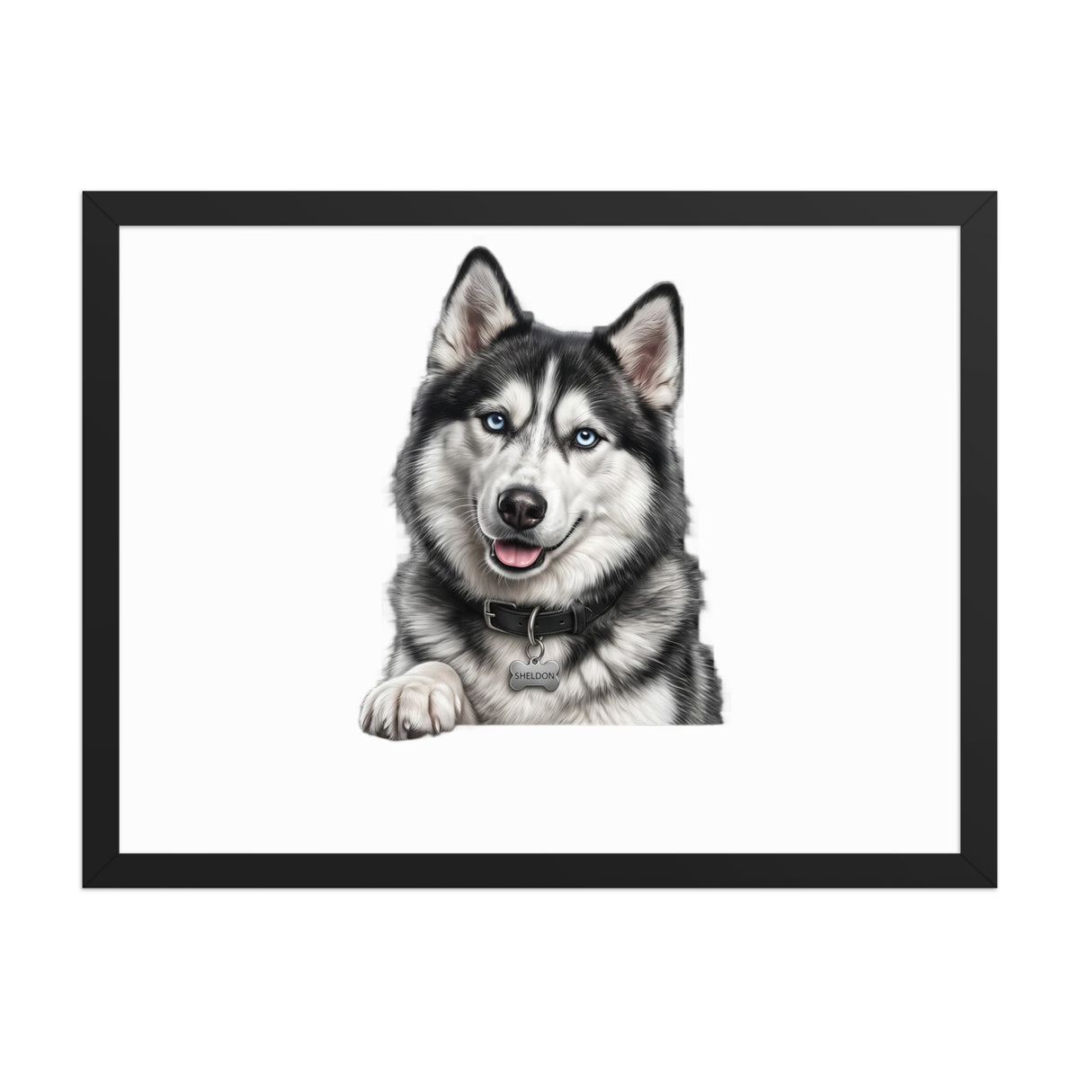 Sheldon the husky wearing a crown, Drama King framed poster in black frame, 18x24, front view