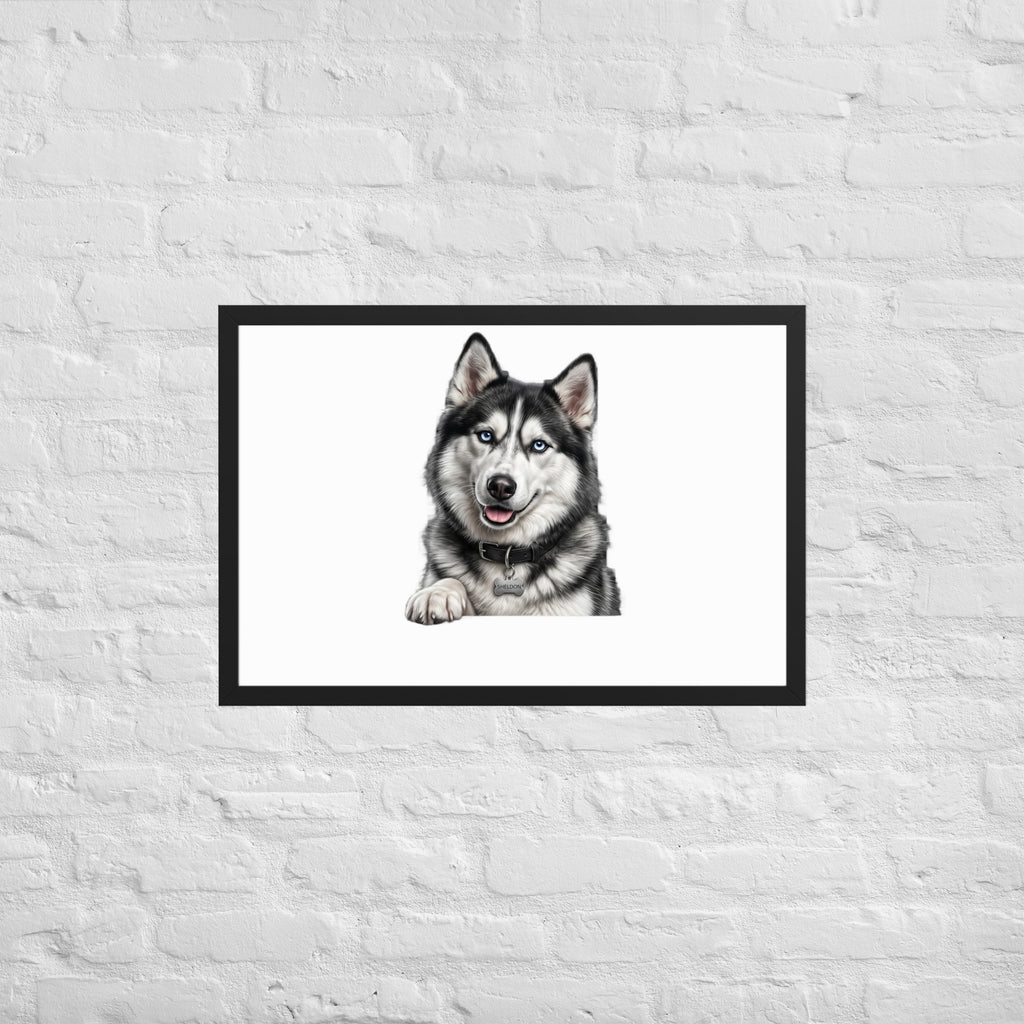 Sheldon the husky wearing a crown, Drama King framed poster in black frame, 20x30, front view