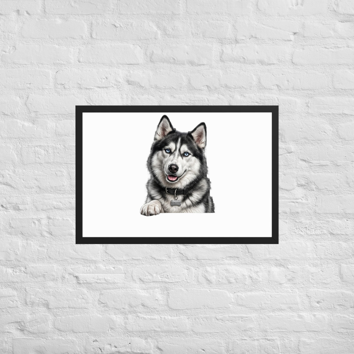 Sheldon the husky wearing a crown, Drama King framed poster in black frame, 20x30, front view