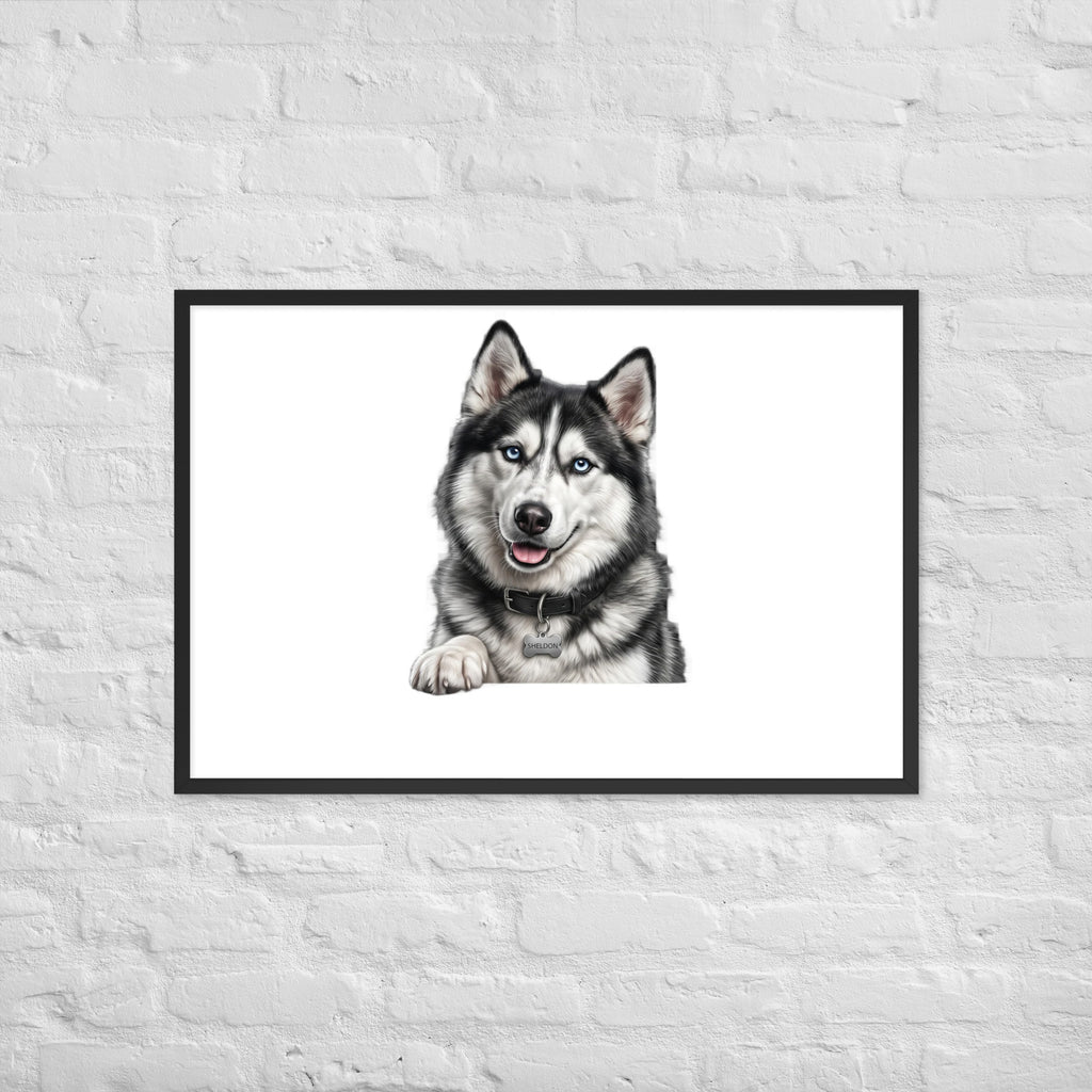 Sheldon the husky wearing a crown, Drama King framed poster in black frame, 24x36, front view