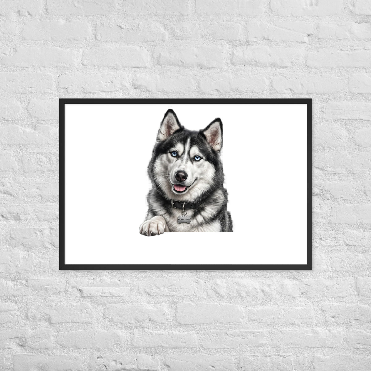 Sheldon the husky wearing a crown, Drama King framed poster in black frame, 24x36, front view