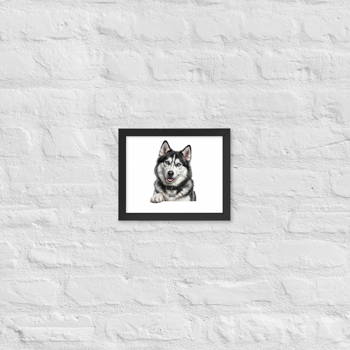 Sheldon the husky wearing a crown, Drama King framed poster in black frame, 8x10, front view