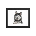 Sheldon the husky wearing a crown, Drama King framed poster in black frame, 8x10, front view