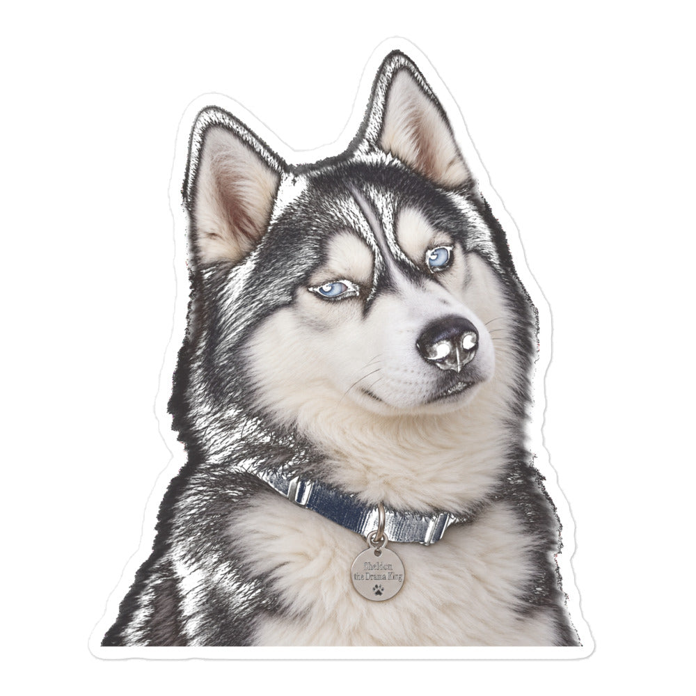 Sheldon the husky portrait with striking blue eyes, black mask, and signature head tilt, wearing a 'Sheldon the Drama King' collar tag — kiss-cut vinyl sticker mockup