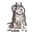 Sheldon the husky sitting pretty with his tongue out and paw raised — kiss-cut vinyl sticker mockup