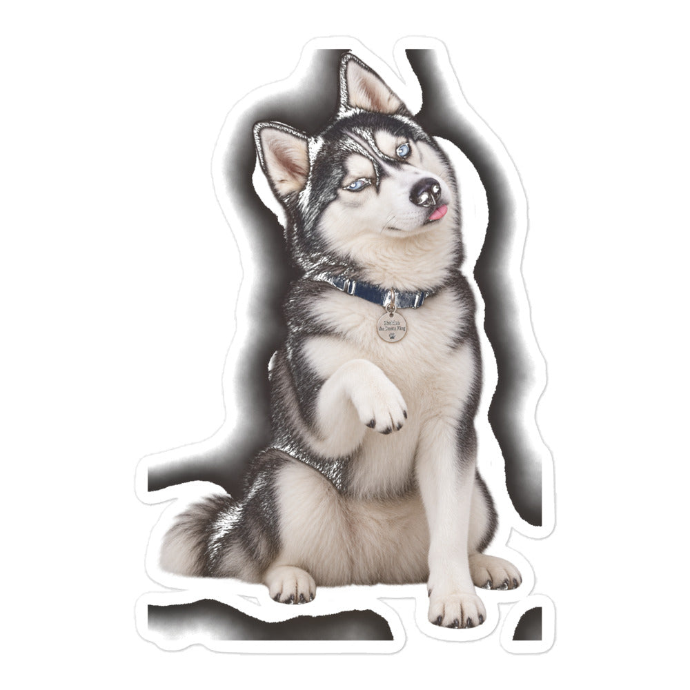 Sheldon the husky sitting pretty with his tongue out and paw raised — kiss-cut vinyl sticker mockup