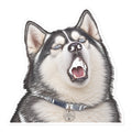 Sheldon the husky mid-howl with mouth wide open, wearing a collar with a 'Sheldon the Drama King' tag — kiss-cut vinyl sticker mockup