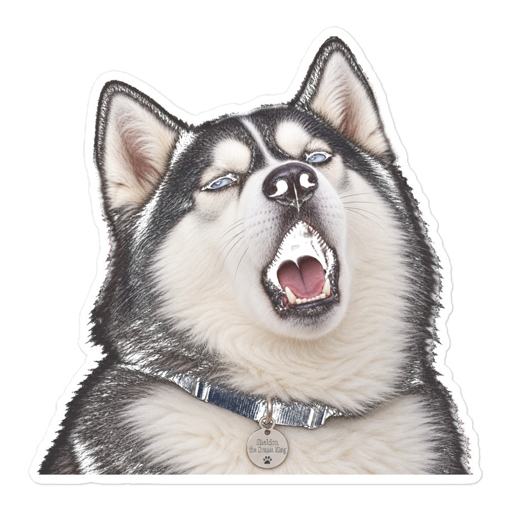 Sheldon the husky mid-howl with mouth wide open, wearing a collar with a 'Sheldon the Drama King' tag — kiss-cut vinyl sticker mockup