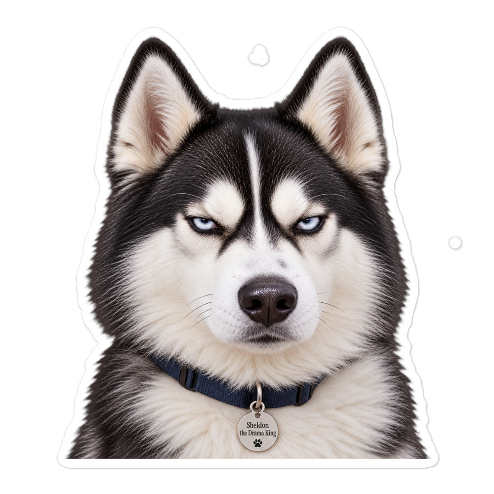 Close-up portrait of Sheldon the husky with blue eyes wearing a collar with a 'Sheldon the Drama King' tag — kiss-cut vinyl sticker mockup
