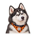 Sheldon the husky wearing an orange pumpkin bandana — kiss-cut vinyl sticker mockup
