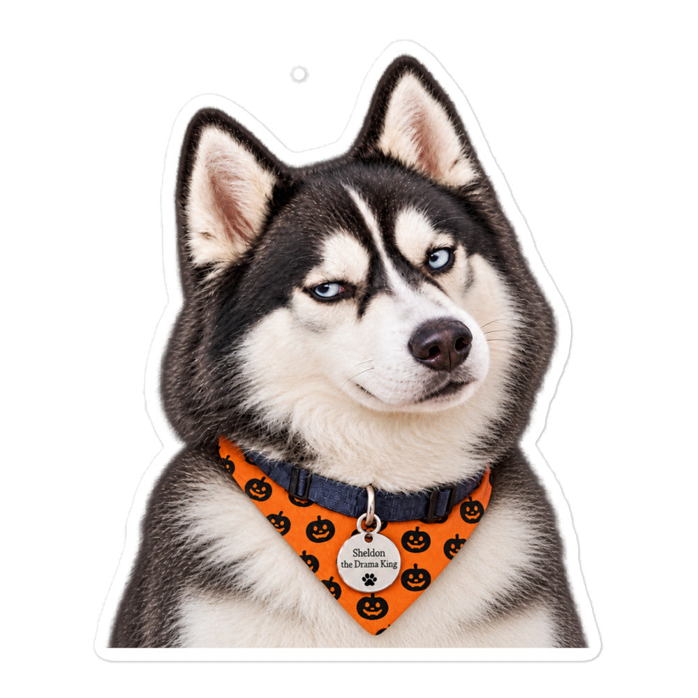 Sheldon the husky wearing an orange pumpkin bandana — kiss-cut vinyl sticker mockup